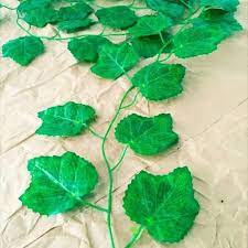 Sehingga membuat tanaman ini mudah untuk dirawat, karena perhatian perawatannya cenderung hanya tertuju kepada daunnya saja. Harga Special Promo Daun Rambat Daun Anggur Daun Sulur Daun Plastik Hiasan Daun Daun Lilit Sangat Shopee Indonesia