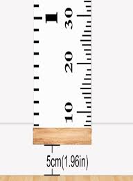 Shop I2ushop Hanging Ruler Height Growth Chart Online In