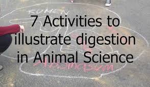 Different Activities To Illustrate Digestion In Animal Science Animal Science Lessons Animal Science Science Lessons
