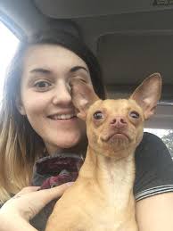 Lost iPhone found near RB Bakery, charge on