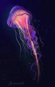 Jellyfish Design Fish Jellyfish Painting Jellyfish Tattoo Jellyfish Drawing