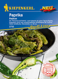Maybe you would like to learn more about one of these? Kiepenkerl Gemuse Saatgut Paprika Bratpaprika Pimientos De Padro