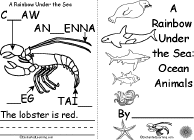 Ocean Animal Printouts Enchantedlearning Com