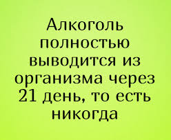 images?q=tbn%3AANd9GcRaAjtXSJddv5kTdPD6SyGj_qahGQsti5yepfLR8MHsiOp6rqm5&usqp=CAU