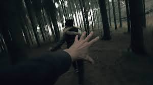 Image result for person chasing tree