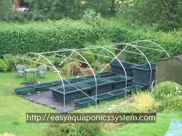 Rob torcellini bought a $700 greenhouse kit to grow more vegetables in his backyard. Apartment Aquaponics Aquaponics Aquaponics Diy Indoor Aquaponics Aquaponics Greenhouse