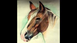 Como Desenhar E Colorir Um Cavalo Youtube Coloracao em presente virtual livro para colorir para criancas e maravilhosos desenhos de cavalos para colorir e uma atividade positiva que se encaixa perfeitamente na palma. como desenhar e colorir um cavalo