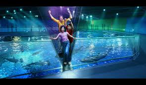 January 2015 Aquarium Works