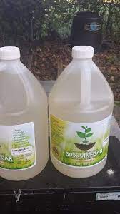 Maybe you would like to learn more about one of these? Horticultural Vinegar For Weed Control Part 1 Organic Gardening Mother Earth News