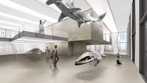 Competition To Design A Nature Museum In St Gallen Switzerland 2009 Kanada