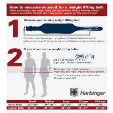 Weight Lifting Belt 4