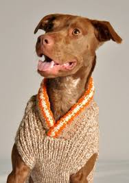 Wir haben die richtigen anleitungen und tipps für sie parat. Hundepullover Selber Stricken Oder Aus Einem Alten Pulli Basteln