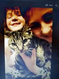 It's not ghostly, but we had an uncanny moment once. I swear it was a  guardian angel thing. We live near a reasonably busy road. We were  returning from a holiday and