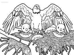 New users enjoy 60% off. Easy Bald Eagle Coloring Page Novocom Top
