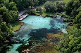 There are a few places where the depth is about 25 feet, yet just a few feet away it is shallow enough to stand. 3 Best Freshwater Springs In Florida Florida Springs Rainbow Springs State Park Florida Travel