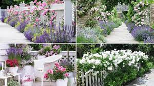 7 golden rules to achieve wow factor all year round. 10 Rose Garden Ideas Youtube