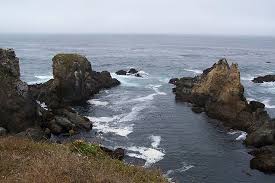 Bodega Head Bodega Bay 2019 All You Need To Know Before