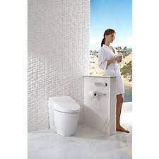 Toto Neorest 550h Dual Flush 1 0 Or 0 8 Gpf Toilet With Integrated Bidet Seat And Ewater The Home Depot Canada Bidet Bidet Seat Toto