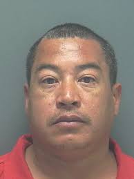 Lee County Arrests 11/19