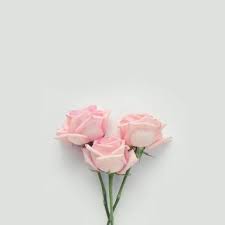 Pin Di Wallpaper