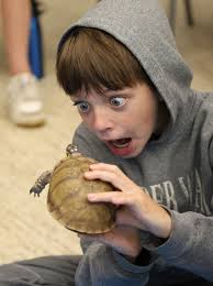 WISCONSIN'S SOURCE FOR LOCALLY LED CONSERVATION