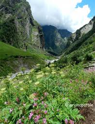 Maybe you would like to learn more about one of these? Valley Of Flowers Uttarakhand India Valley Of Flowers Uttarakhand Nature Adventure