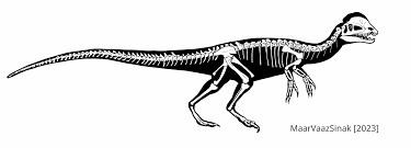 Dilophosaurus skeletal