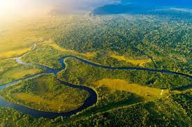 esˈtaðo amaˈsonas) is one of the 23 states (estados) into which venezuela is divided. Amazonas Fluss Voller Wunder Und Rekorde Geo