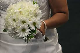 Offers a wide range of floral, wedding and event rental services. 17 Gorgeous Types Of Trees With White Flowers Pics Care Mymydiy Inspiring Diy Projects