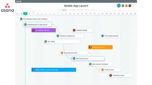 Asana Timeline Makes Life Simpler For Work Allocation