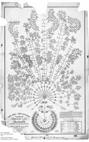 This Beautiful 19th Century Org Chart Puts Your Company S To Shame Org Chart Organizational Design Data Design