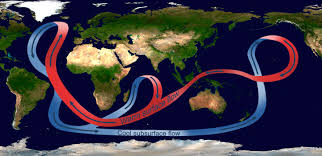 How Plate Tectonics Upended Our Understanding Of Earth Century Of Science Science News