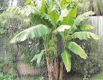 Image result