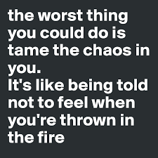 The Worst Thing You Could Do Is Tame The Chaos In You It S Like Being Told Not To Feel When You Re Thrown In The Fire Post By Makalapua On Boldomatic