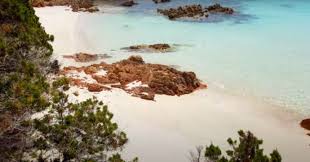 L'isola si trova 1,6 miglia a nord di spargi, è granitica, ha una forma piuttosto tozza, una superficie di 1,64 kmq, è larga. Isola Di Budelli Il Custode 81enne Mauro Morandi Alla Cnn Sono Pronto A Tutto Per Restare Qui Dovranno Trascinarmi Via Il Fatto Quotidiano