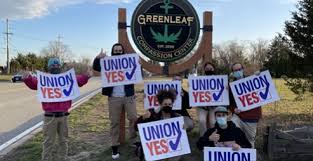 We did not find results for: Unions Rhode Island Afl Cio