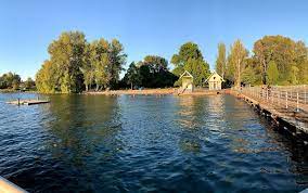 1 million properties · compare & save · 24/7 customer support Newcastle Beach Park 4400 Lake Washington Blvd Se Bellevue Wa 98006 Usa