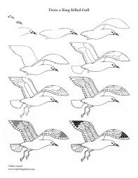 We did not find results for: Seagull Drawing Lesson