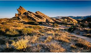 Image result for Terrarium Cling Background