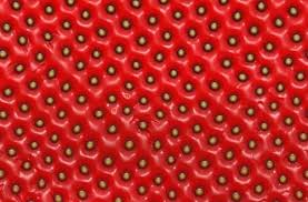 Texture Couleur Rouge Texture Textures