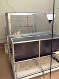 Home Grown Eggs: Building Your Own Chicken Cage : 12 Steps ...