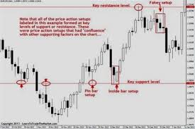 forex investor forex 50 dollars forex for beginners how