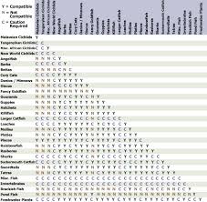 tropical fish compatibility chart