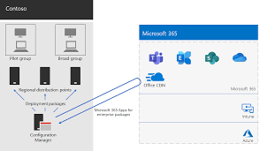 Collaborate for free with online versions of microsoft word, powerpoint, excel, and onenote. Microsoft 365 Apps For Enterprise Bereitstellung Fur Contoso Microsoft 365 Enterprise Microsoft Docs