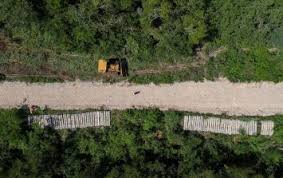 Recorrerá una distancia de 1,500 km aproximadamente y pasará por los estados de chiapas, tabasco, campeche, yucatán y quintana roo. Tren Maya Conceden Tres Nuevas Suspensiones Provisionales Contra La Obra El Informador