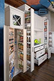 Tall Thin Storage In 2020 Kitchen Pantry Design Pantry Design Eclectic Kitchen