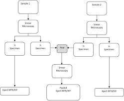 Flow Chart Showing The Preparation And Testing Of The