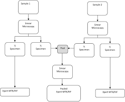 flow chart showing the preparation and testing of the