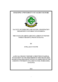 Image result for Monotes adenophyllus