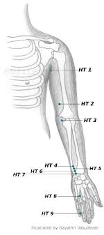 acupressure points chart